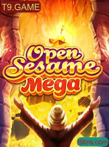 Tudo sobre OPENSESAMEMEGA: O Guia Definitivo para Iniciantes